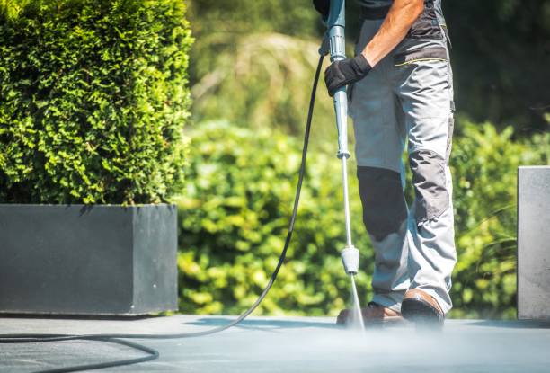 Best Gutter Cleaning  in Clinton, MD