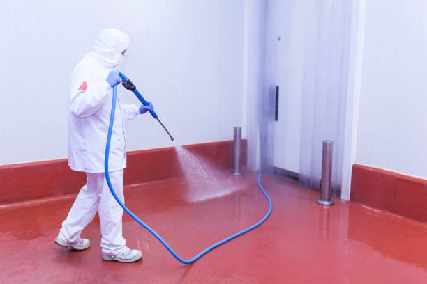  Clinton, MD Pressure Washing Pros