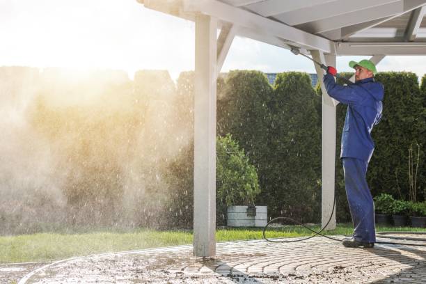 Best Pre-Holiday Cleaning  in Clinton, MD