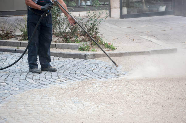 Best Sidewalk and Walkway Cleaning  in Clinton, MD