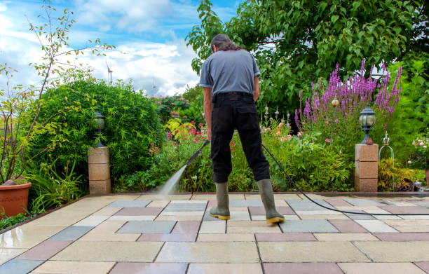 Best Driveway Pressure Washing  in Clinton, MD